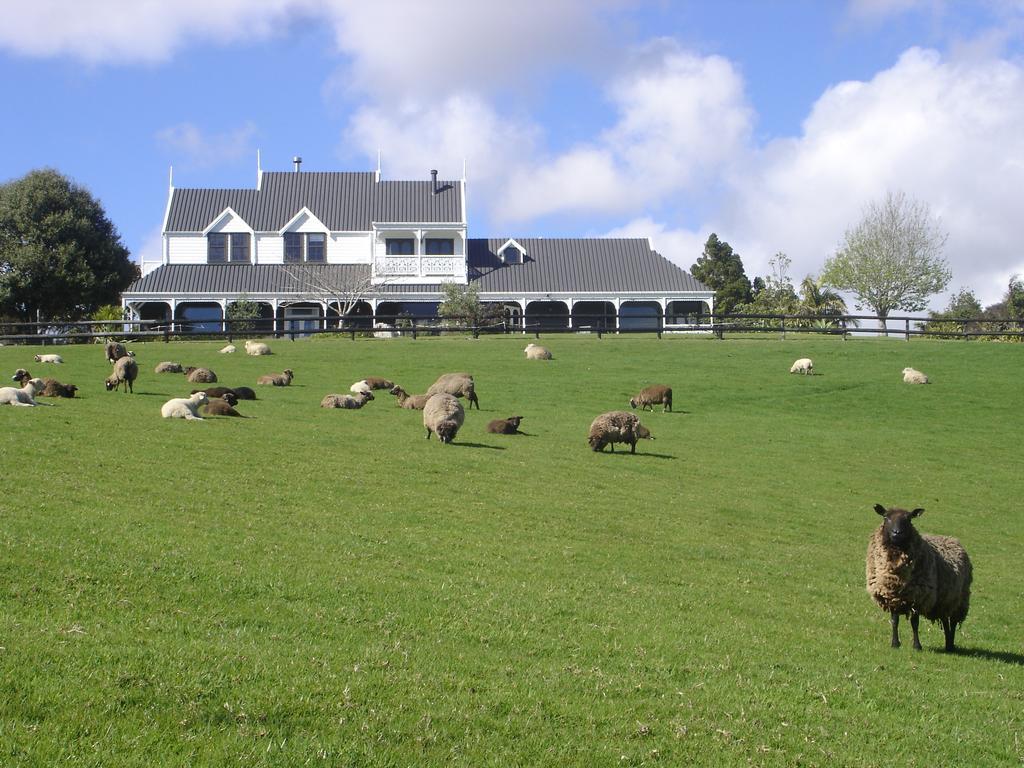 Country Homestead At Black Sheep Farm Waipu Eksteriør billede