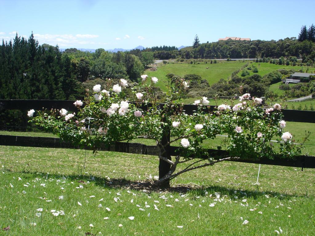 Country Homestead At Black Sheep Farm Waipu Eksteriør billede